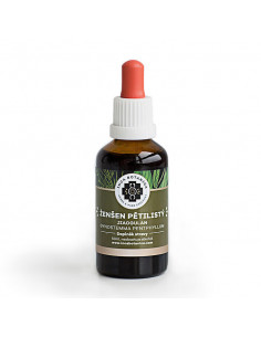 Ginseng Fünf-Blatt-Extrakt 50 ml