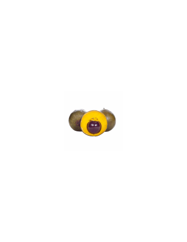 Lucuma 111 g