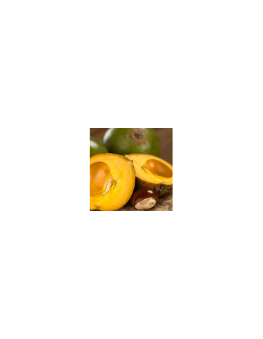 Lucuma 111 g