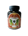 vitalita, nervový systém, harmonizácia zažívania