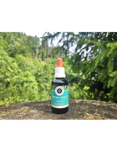Wira wira – extrakt 50 ml