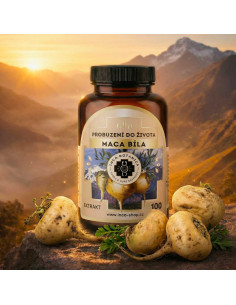 Maca biela 100 tabliet 2
